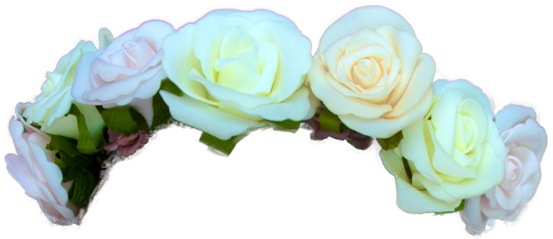 Transparent Green Flower Crown - Transparent Tumblr Flower Crown (807x807), Png Download