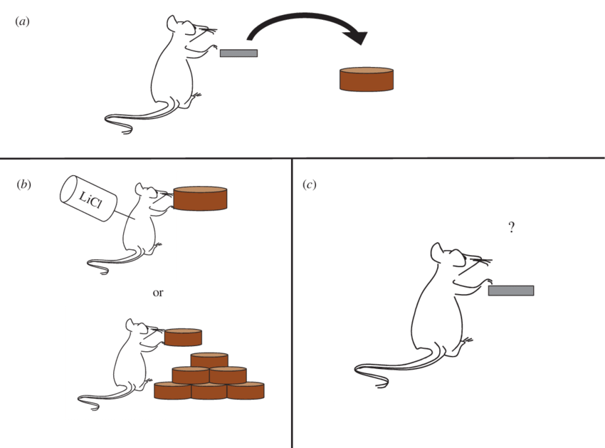 Animals Are Trained To Press A Level To Gain Food Pellets - Devaluation (850x629), Png Download