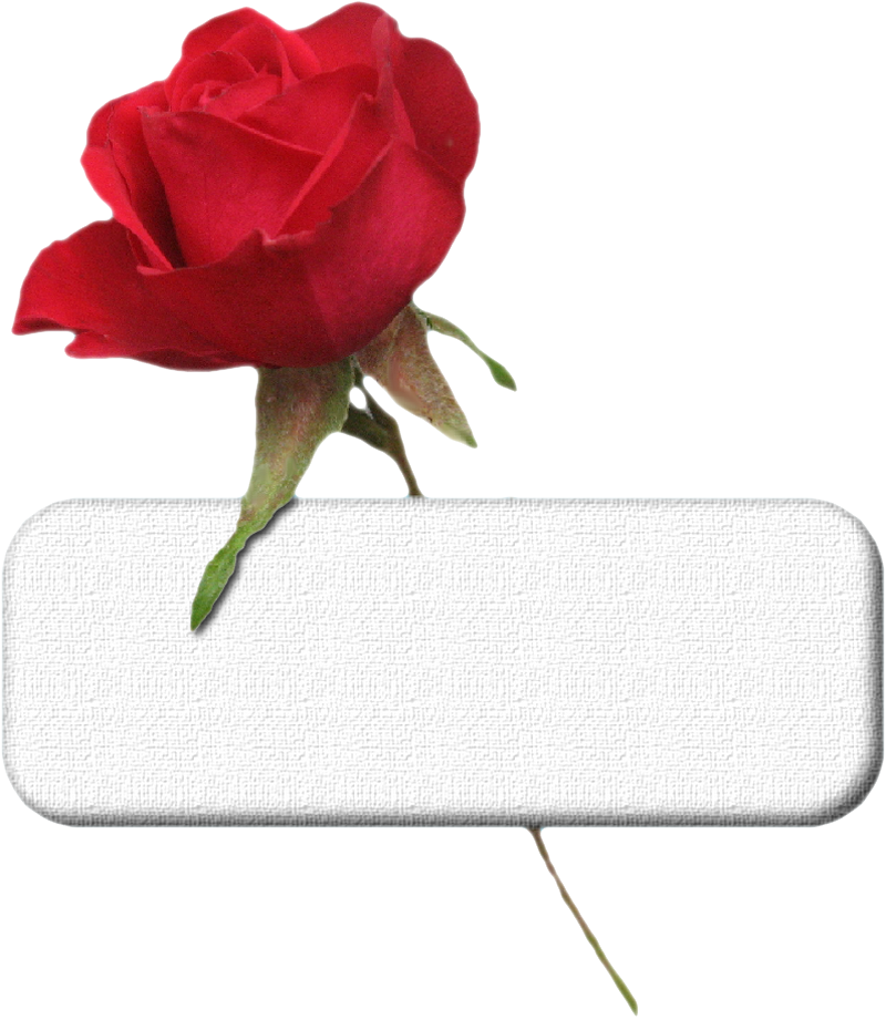 Plaque St Valentin - St Valentin Tube Psp (800x921), Png Download