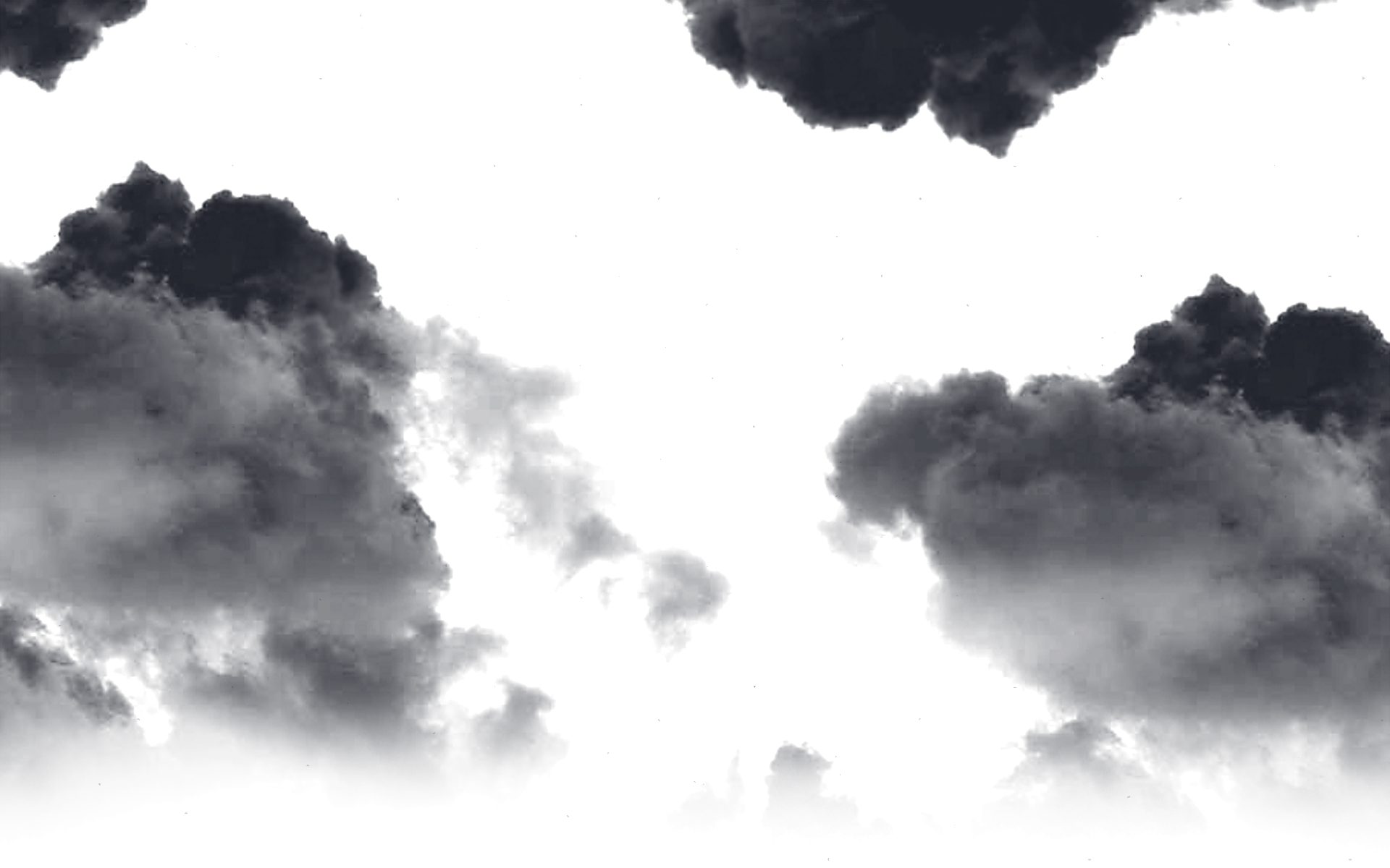 Noche - Tree (1920x1200), Png Download