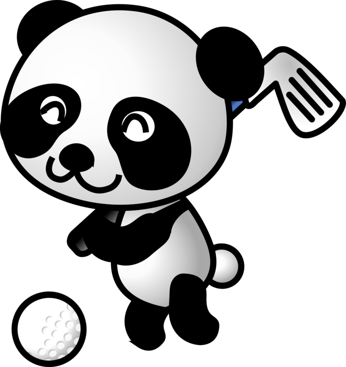 All Photo Png Clipart (708x750), Png Download