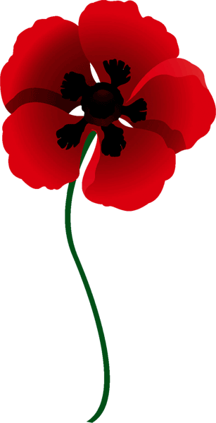Ride - Red Poppy (307x600), Png Download