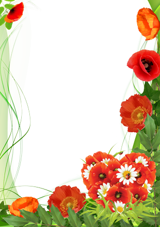 Poppies Color Of Love - Transparent Poppies Frame Png (316x448), Png Download