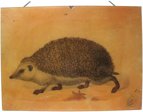 John Derian Wall Haning Decoupage Plaque - Art (480x480), Png Download