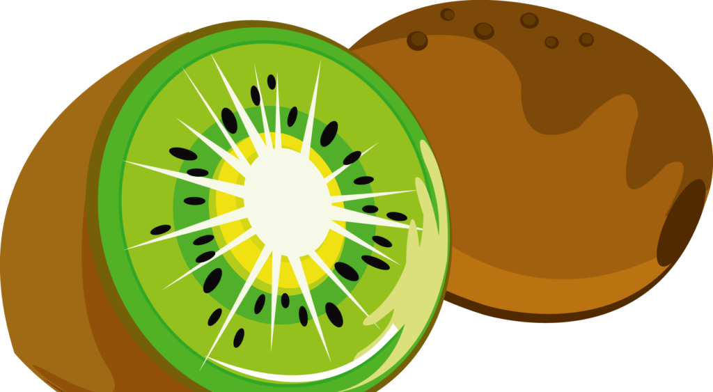 Kiwifruit Auglis Clip Art Byrd Transprent Png - Kiwi Clipart Transparent (1024x563), Png Download