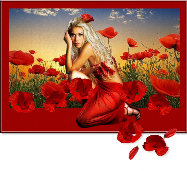 Poppies And Women - Wallpaper (650x612), Png Download