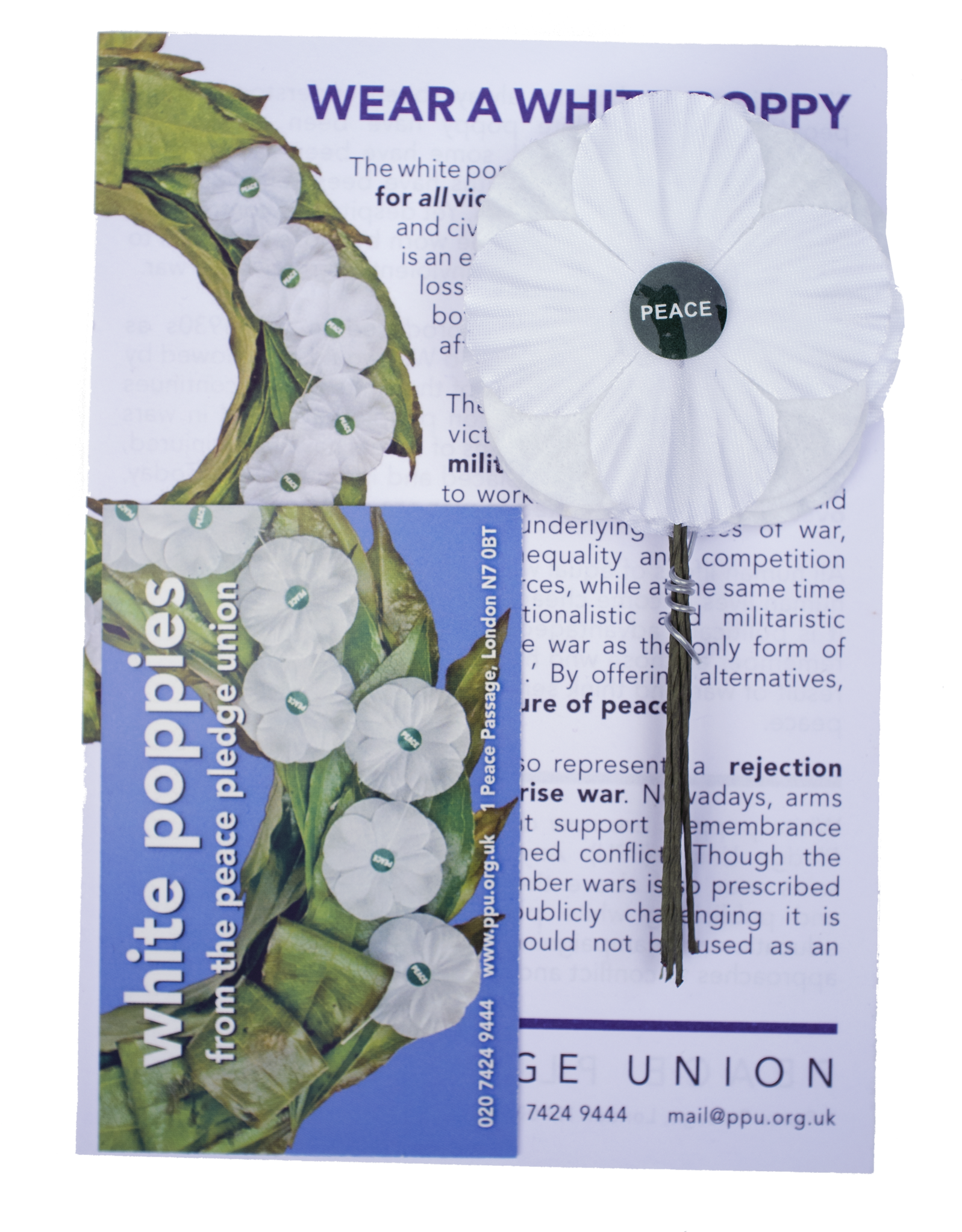 White Poppies 5 Pack - White Poppy (1712x2048), Png Download
