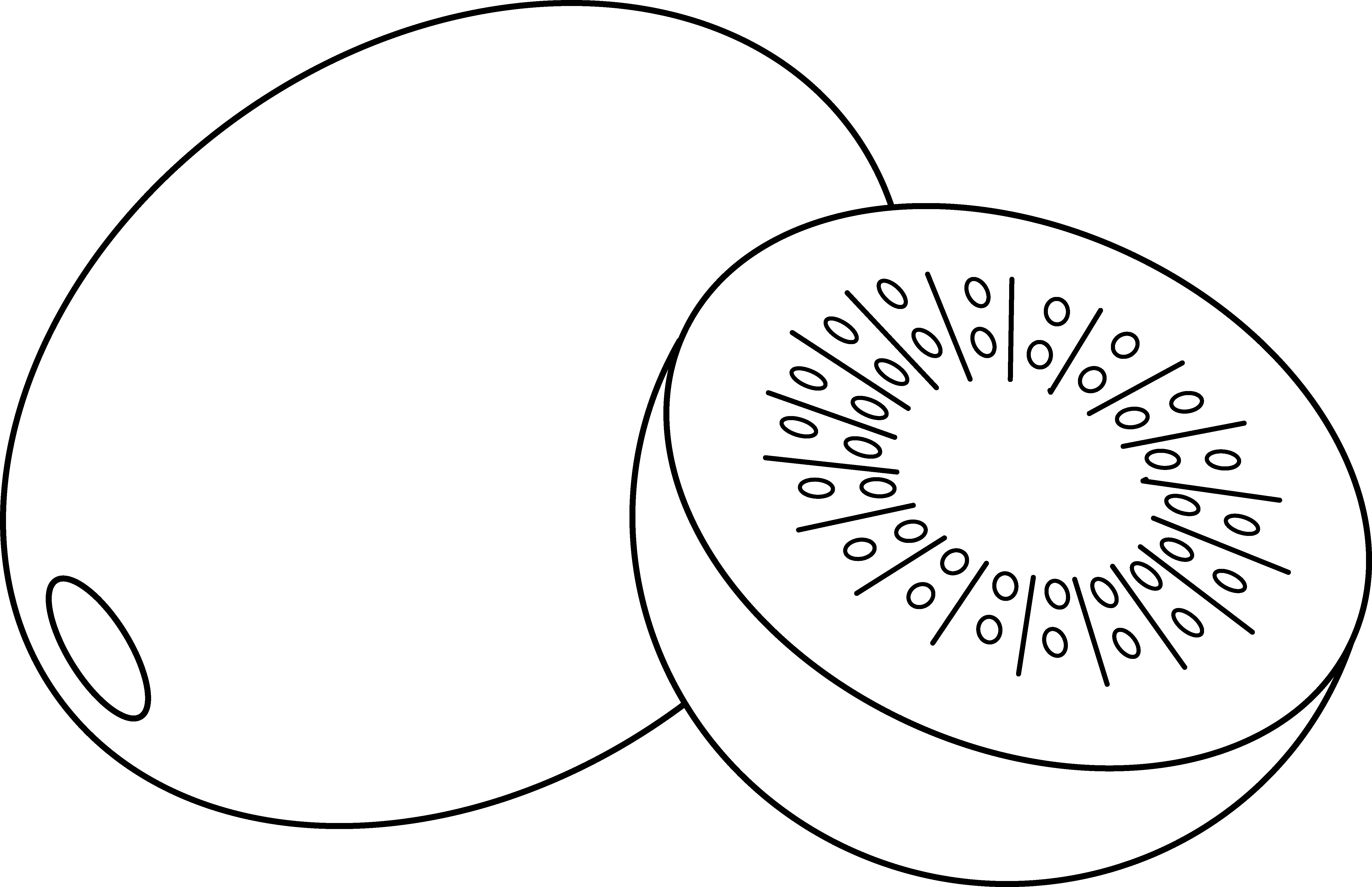 Kiwi - Kiwi Clipart Black And White (5702x3686), Png Download