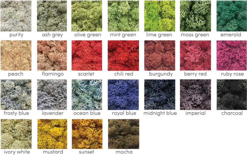 With Plenty Of Colours Available, Make Your Interior - Moontea Eyeshadow (1024x680), Png Download