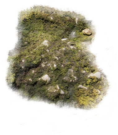 Mapping Software Forums Floor And Rocks - Dundjinni Moss (380x433), Png Download