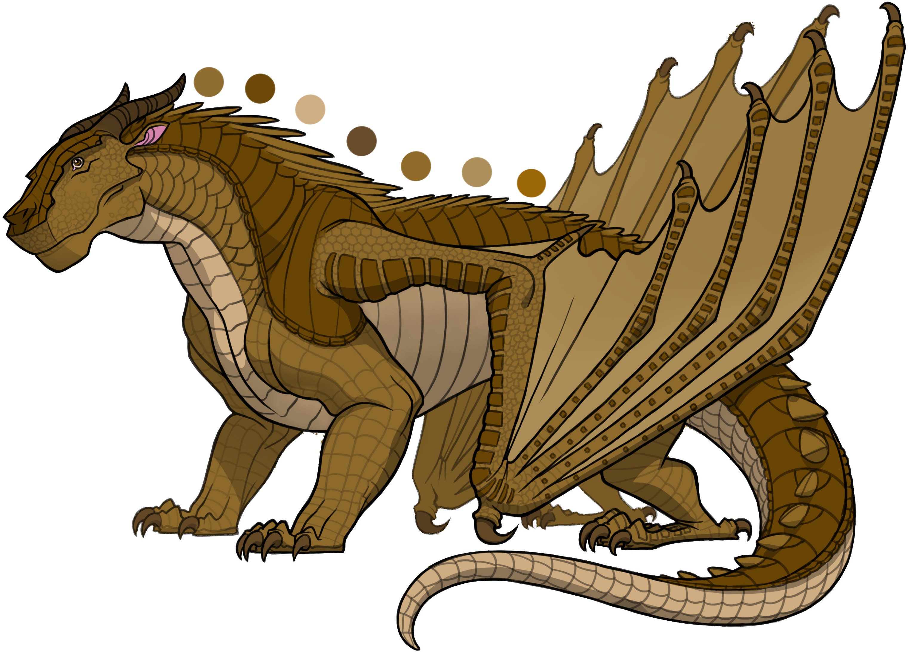 Marsh Is A Male Mudwing With An Unknown Description - Clay Wings Of Fire (3040x2214), Png Download