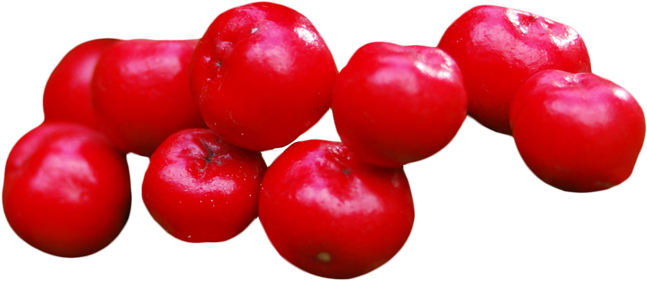 Free Png Cranberry Png Images Transparent - Cranberry Png (850x359), Png Download
