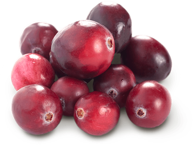Cranberry - Fruit Cranberries (675x545), Png Download