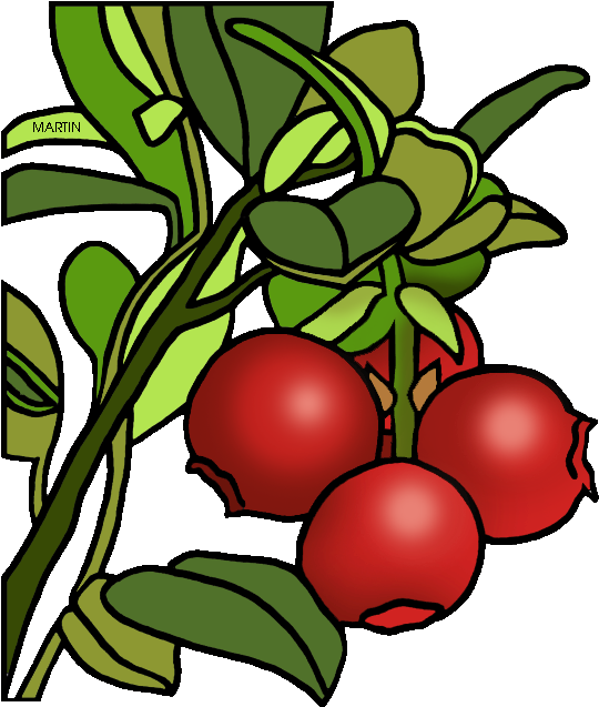 Cranberry Clipart - Black And White Cranberry Sauce Clipart (557x648), Png Download