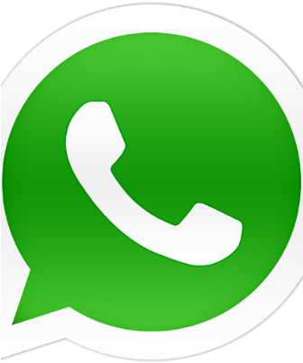 Facebook Buys Whatsapp For $19 Billion Because, Like, - Logo Whatsapp 2018 Png (335x446), Png Download