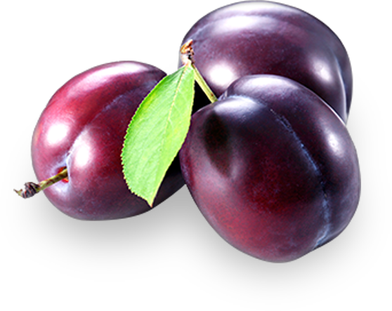Walnuts - Liquid Lipshine By Nyc New York Color (558x443), Png Download
