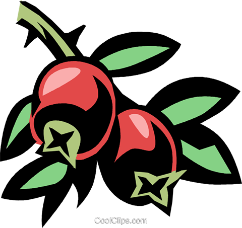 Cranberry Royalty Free Vector Clip Art Illustration - Free Cranberry Clipart (480x453), Png Download