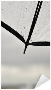 Vinilo Pixerstick Gotas De Agua Sobre El Paraguas Transparente - Monochrome (400x400), Png Download