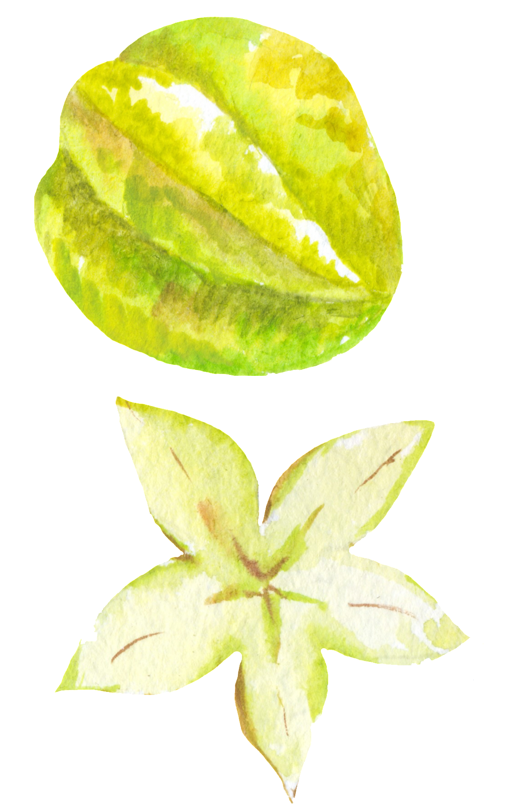 Hand Painted Carambola Png Transparent - Portable Network Graphics (1024x1850), Png Download