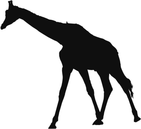 Fondo Jirafa Animales Clipart - Animal (640x640), Png Download