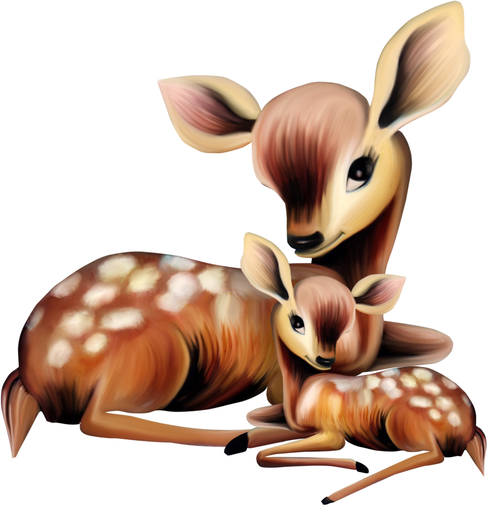 Related Wallpapers - Mama And Baby Deer Clip Art (989x1024), Png Download