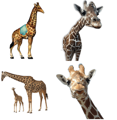 Jirafas - Natasha Wescoat - Circus 1 Canvas (400x400), Png Download