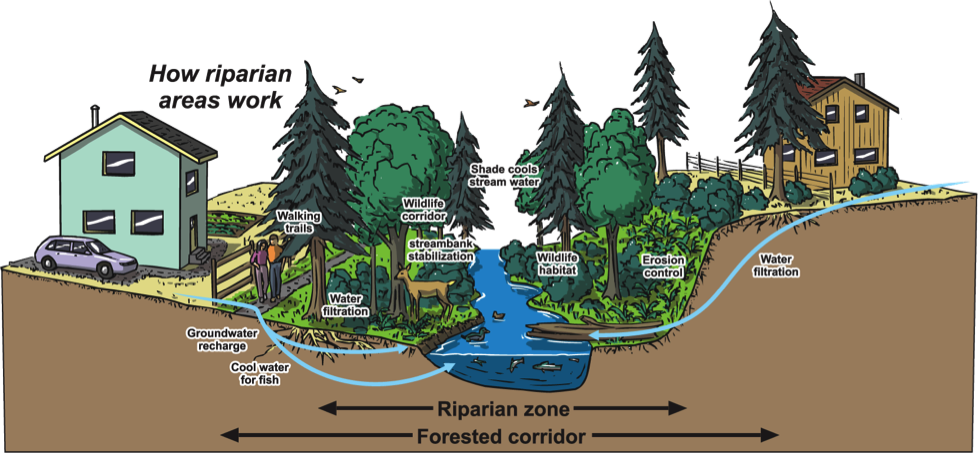 Auma Policy On Riparian Areas - Riparian Areas In Saskatchewan (978x454), Png Download