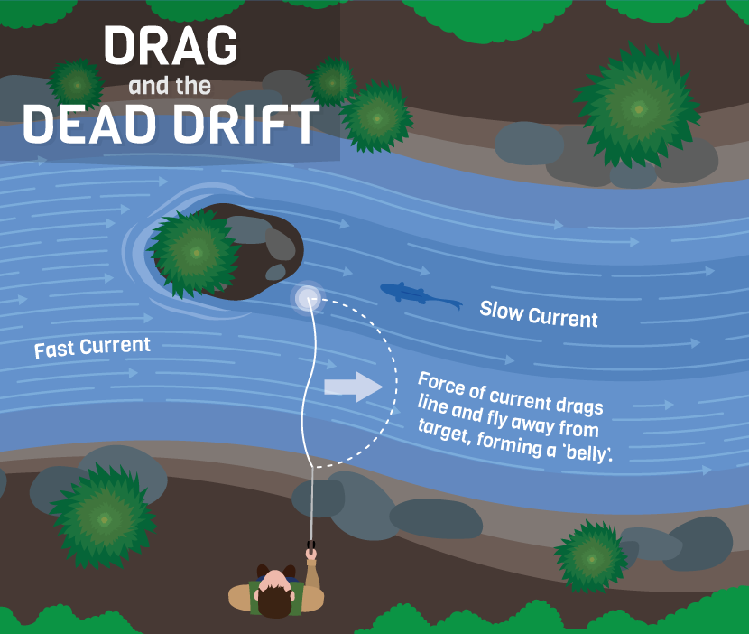 Drag And Dead Drift - Dead Drift A Fly (830x702), Png Download