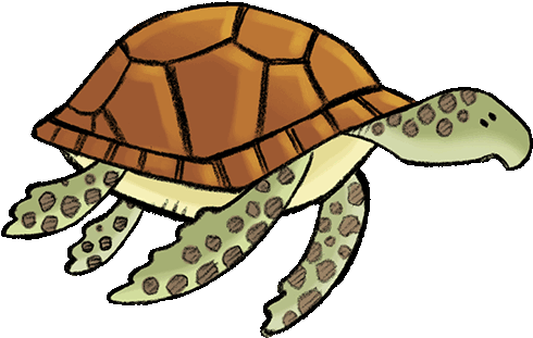 Stream Clipart Water Game - Chelonoidis (500x322), Png Download