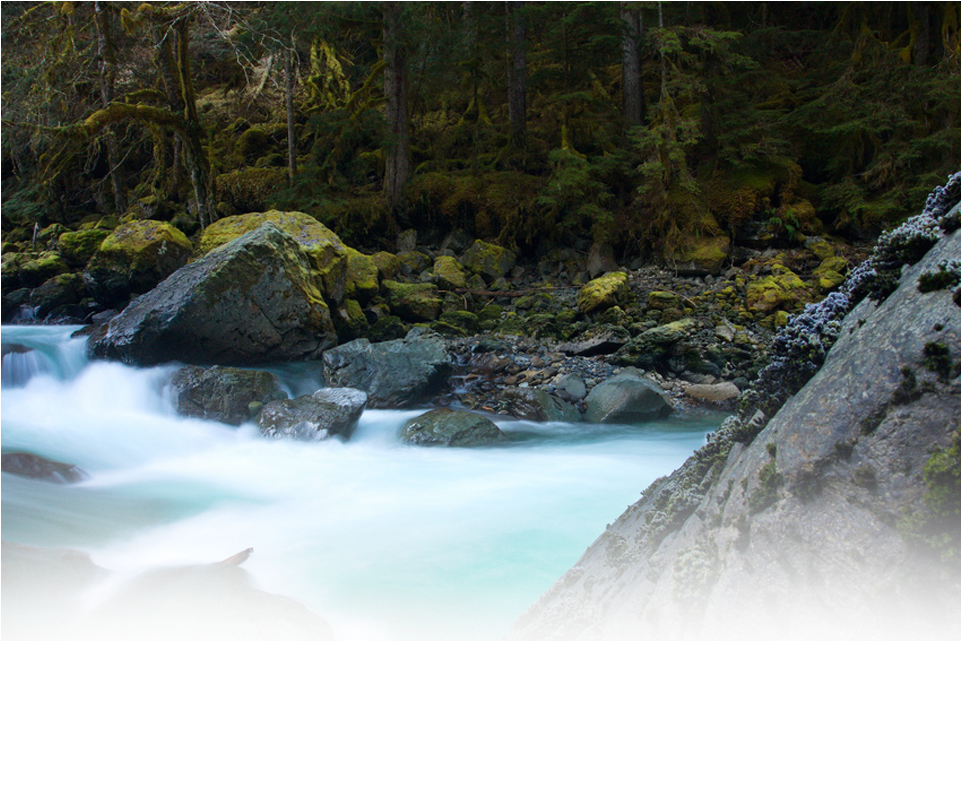 Tributary (960x864), Png Download