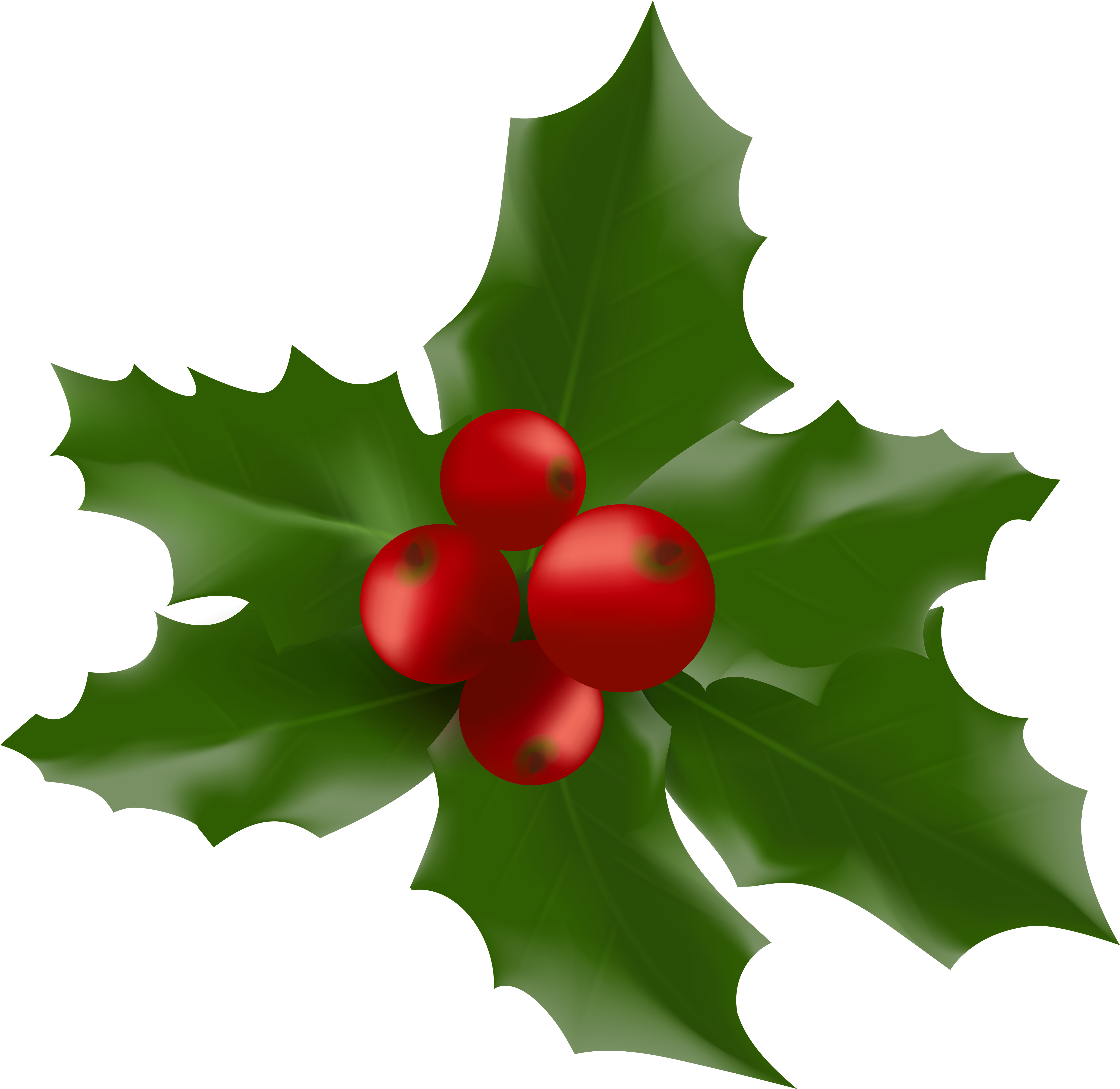 Holly Leaf Png (6010x5900), Png Download