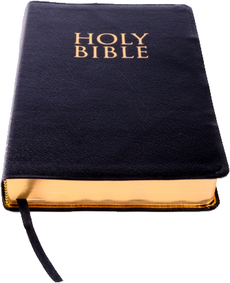 Holy Book Of Christians (335x411), Png Download