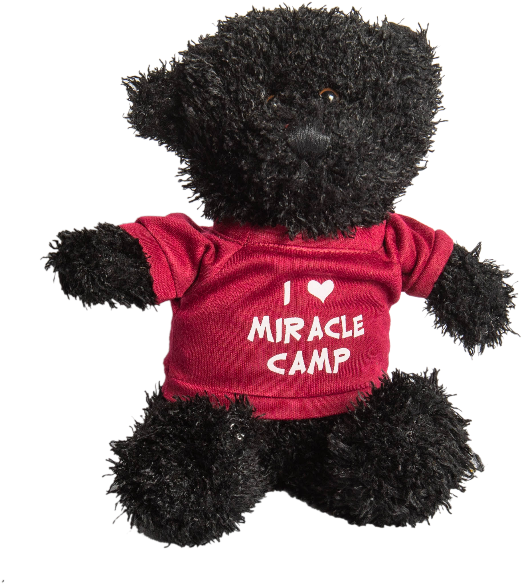 Teddy Bear (2768x2768), Png Download