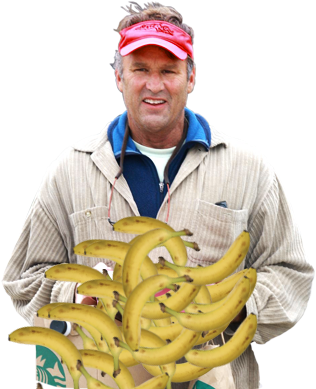 Tex - Saba Banana (374x426), Png Download