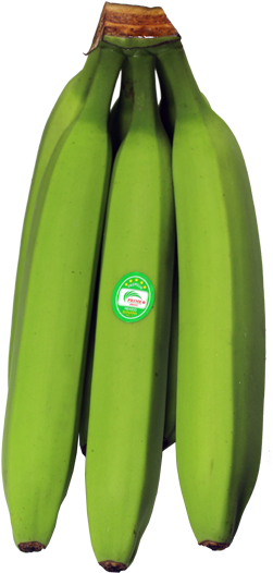 Regularcluster - Zucchini (800x533), Png Download