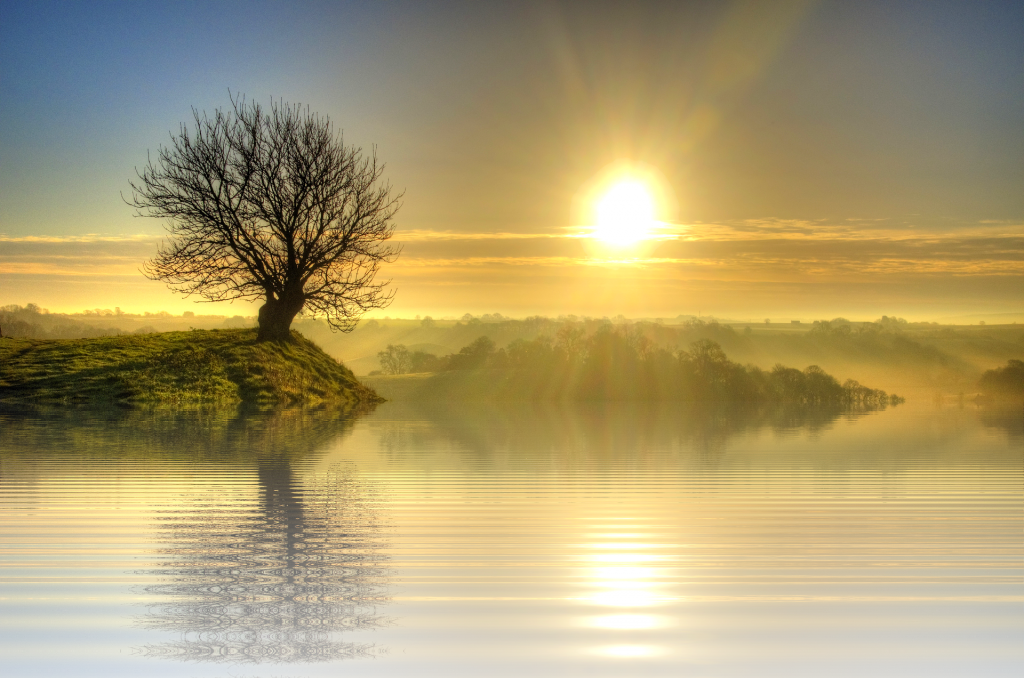 Download Sunset Clipart Sunset Sky Sunset Sky Sunrise - Tree On Sunset Hill (900x596), Png Download