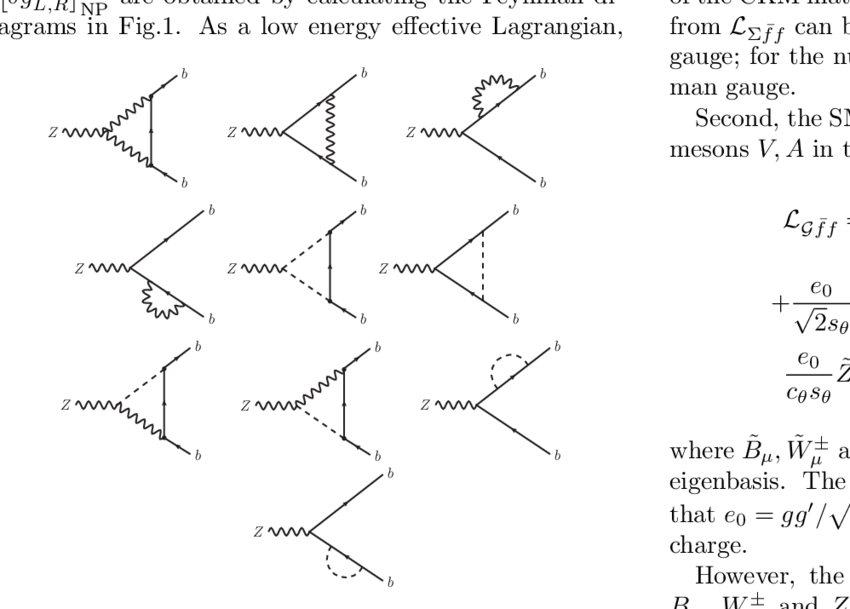 The 1-loop Feynman Diagrams For Δg B L,r In The Feynman - Diagram (850x609), Png Download