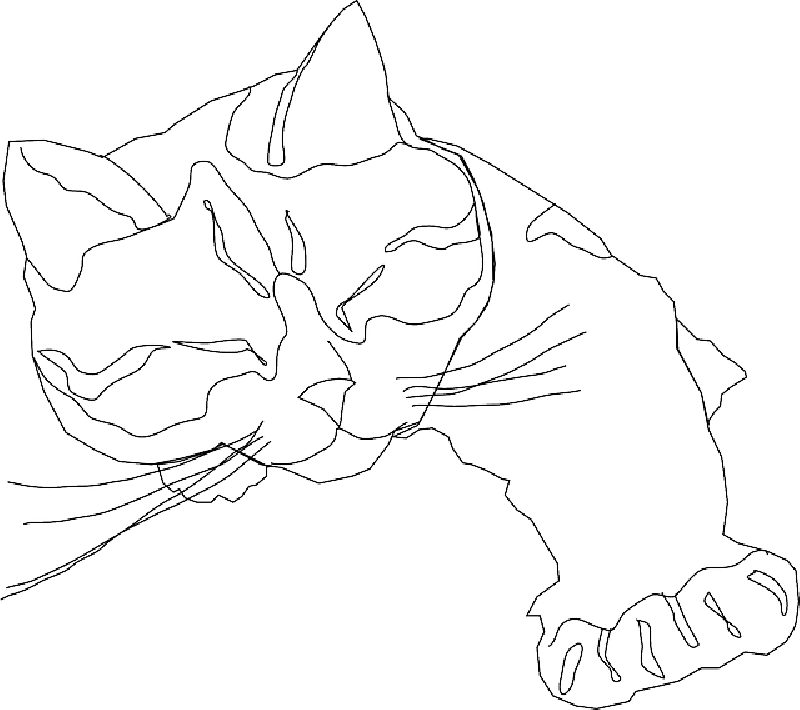 Mb Image/png - Cat Line Drawing (800x710), Png Download