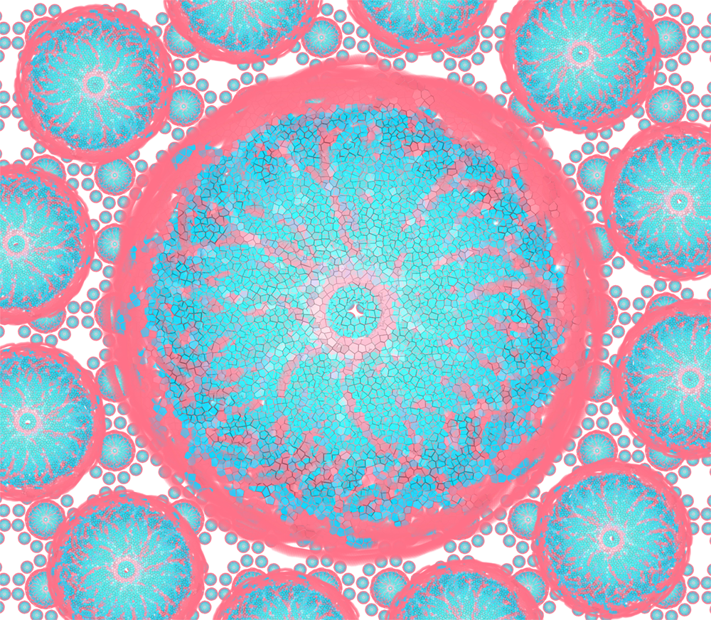 Pattern Design Closeup - Circle (1000x872), Png Download