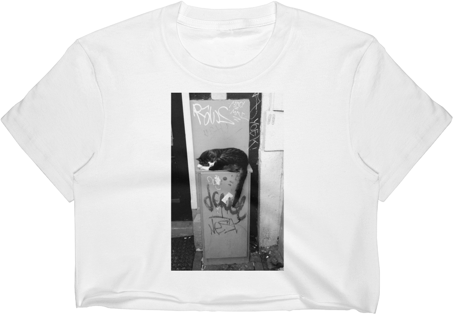 Sleeping Cat In Amsterdam - Monochrome (1000x1000), Png Download