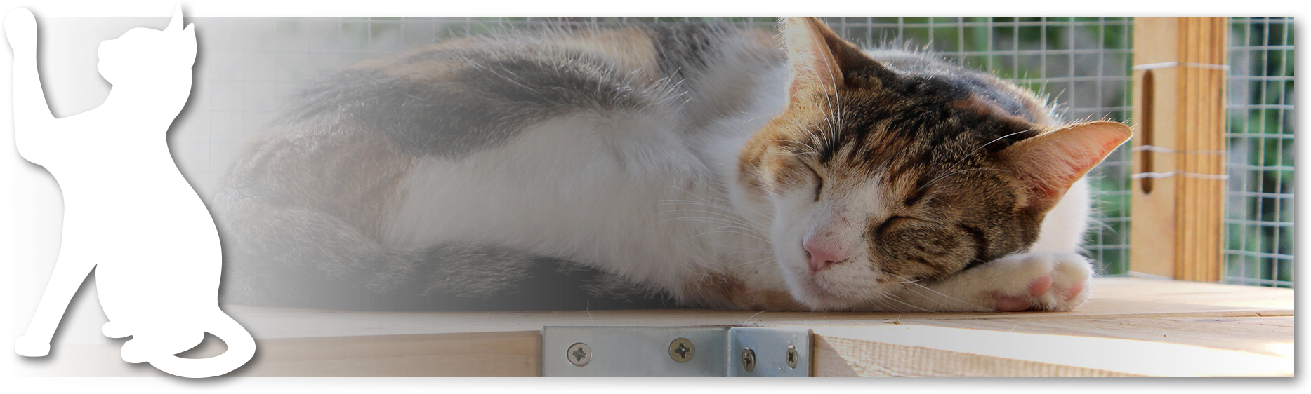 Materials You Use Are Lightweight And That Your Construction - Domestic Short-haired Cat (1920x580), Png Download