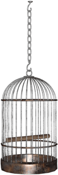 Free Png Bird Cage Png Images Transparent - Hanging Cage Png (850x680), Png Download