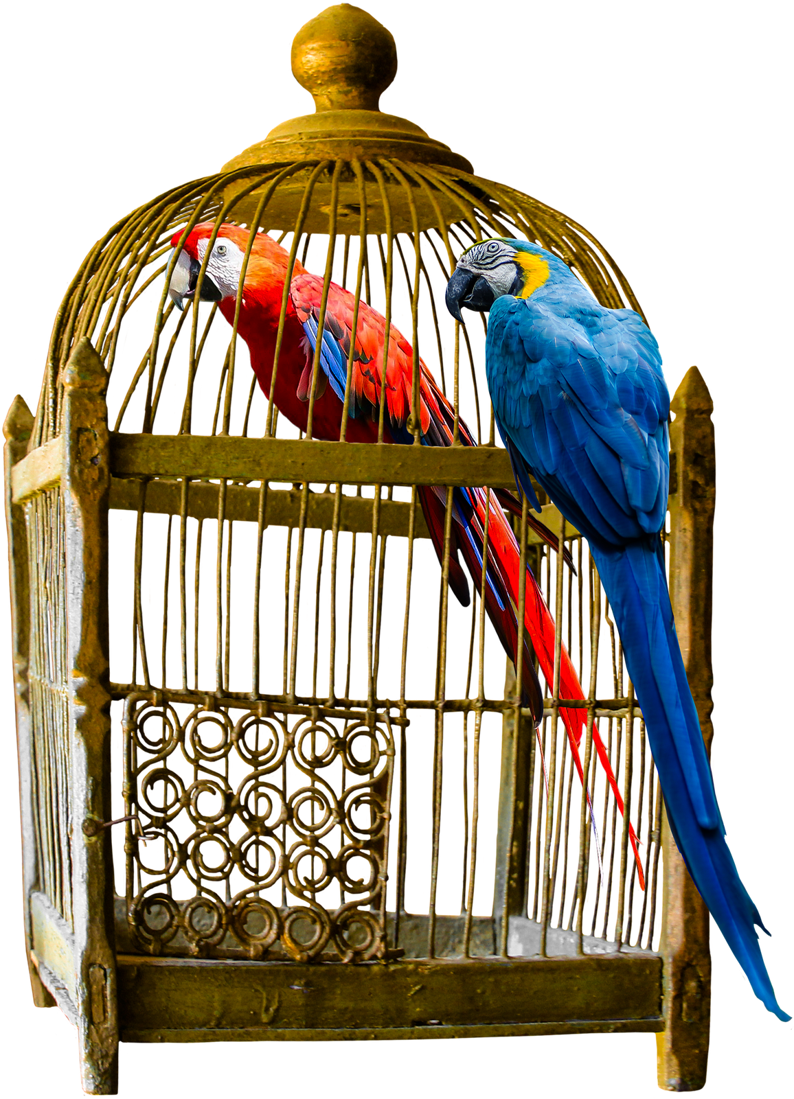 How To Choose Large Bird Cage For Your Friend - Vintage Cage Png (1920x1734), Png Download