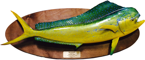 For Information Or To Order, Simply Call 942-1417 Or - Wall Mounted Fish Plaque (625x288), Png Download