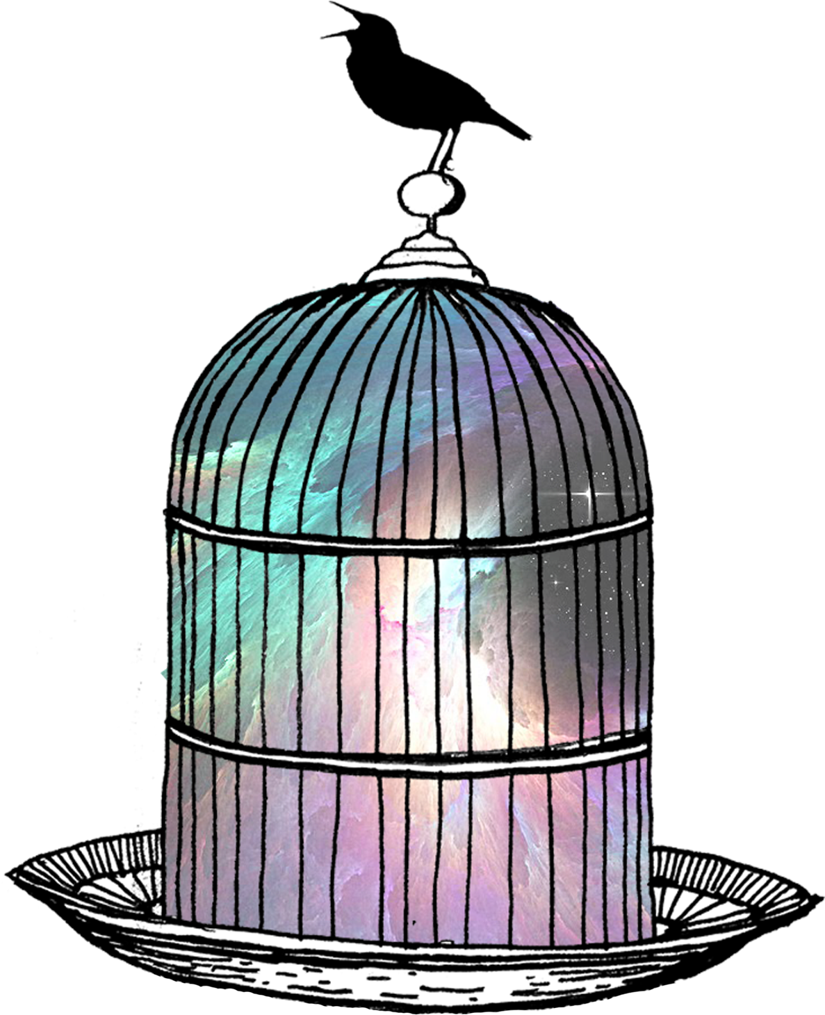Birdcage-space - The Flea (1224x1584), Png Download