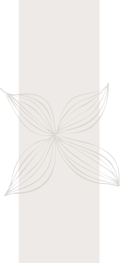 Flor-baner - Butterfly (409x893), Png Download