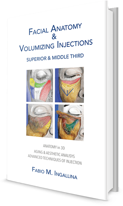 Facial Anatomy & Volumizing Injection - Facial Anatomy & Volumizing Injection (568x715), Png Download