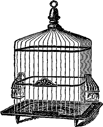 Free Bird Cage Digital Stamp - Birdcage (552x678), Png Download