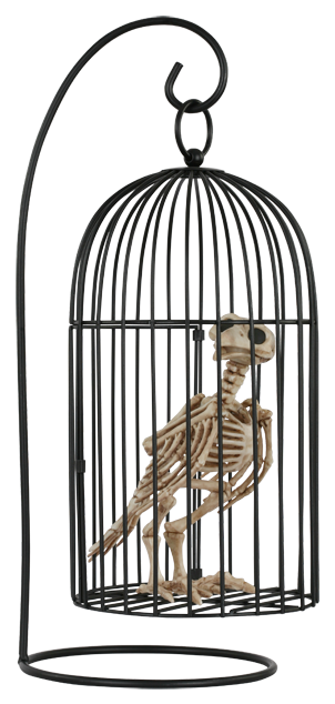 Halloween Skeleton Crow In Birdcage - Bird In Cage (387x650), Png Download