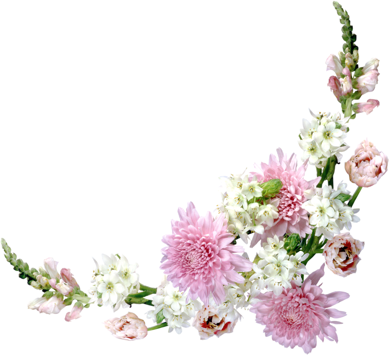 Vector Freeuse China Aster And Tuberose Flowers Meadows - Corner Flower Bouquet Free (800x800), Png Download